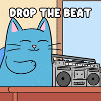 DJ 고양이