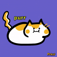 고양이 골골