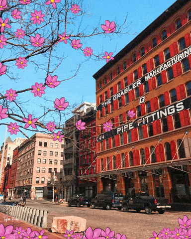 벚꽃 봄